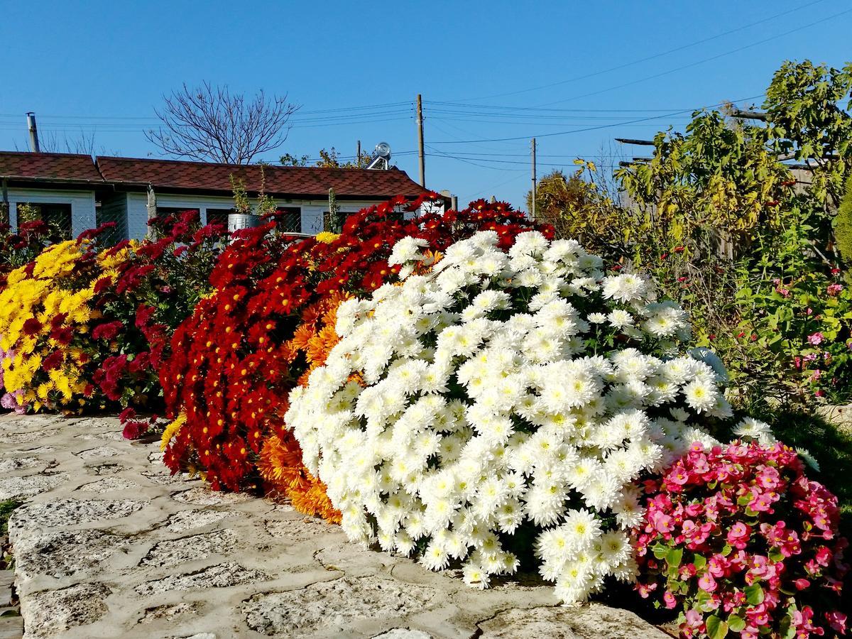 Kosta Bungalows Bŭlgarevo Zewnętrze zdjęcie